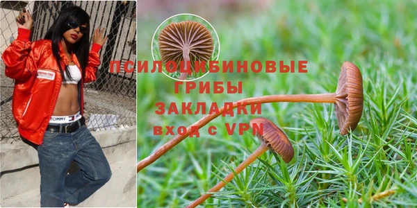 тгк Верхний Тагил