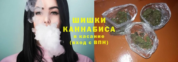 PSILOCYBIN Верея