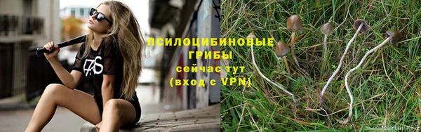тгк Верхний Тагил