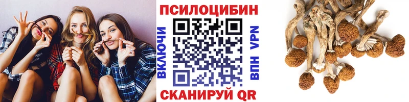 Галлюциногенные грибы GOLDEN TEACHER  Купить где  Добрянка 